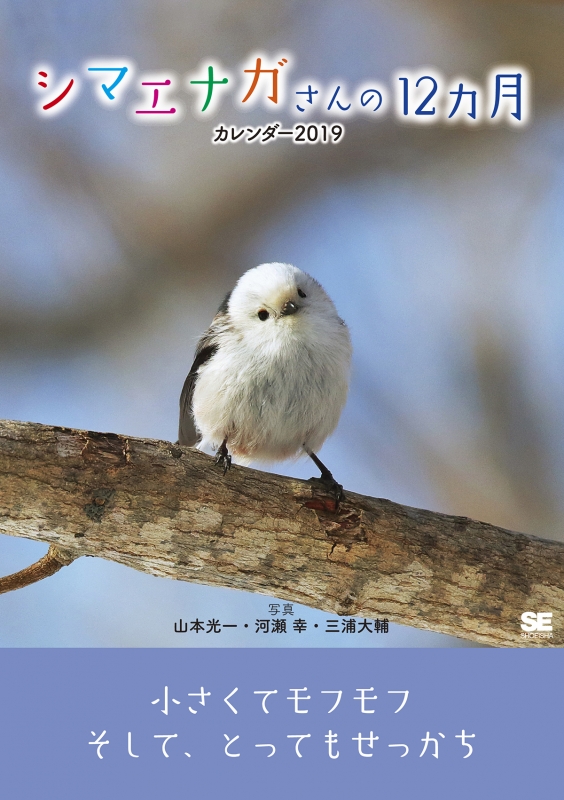シマエナガさんの12ヵ月カレンダー 19 三浦大輔 写真家 Hmv Books Online