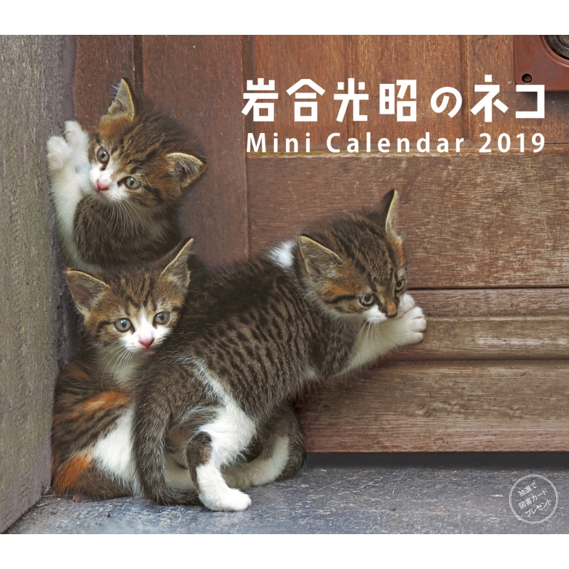 19ミニカレンダー 岩合光昭のネコ 卓上 Mitsuaki Iwago Hmv Books Online Online Shopping Information Site English Site
