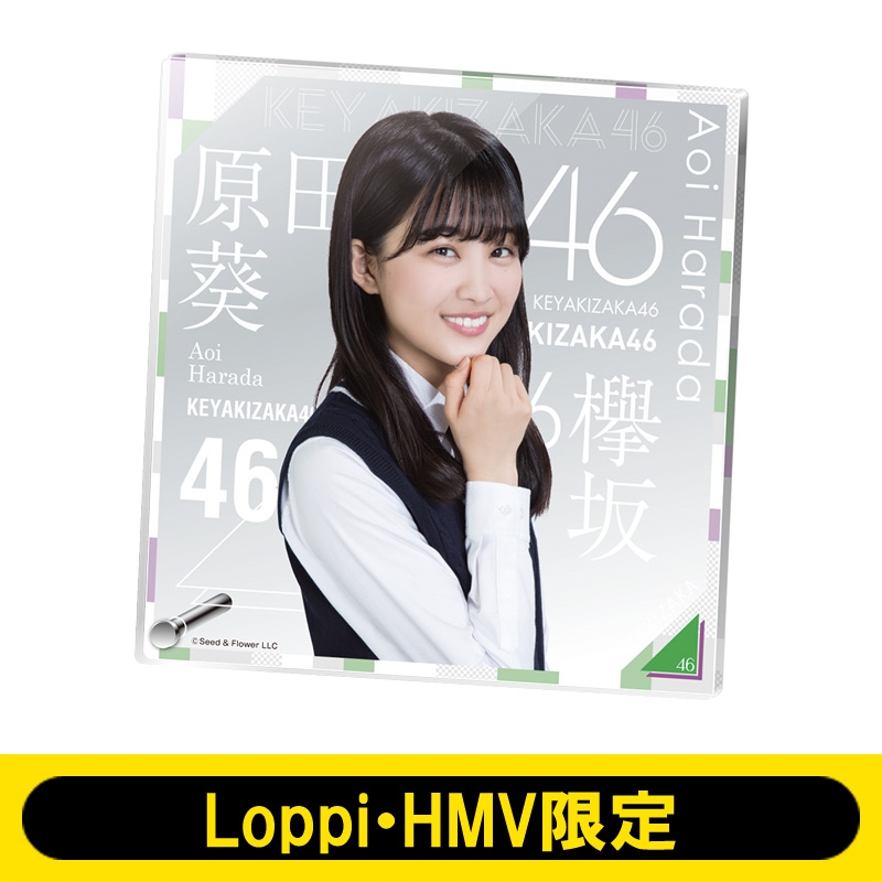 アクリルボード（原田葵） 欅坂46【Loppi・HMV限定】 : 欅坂46