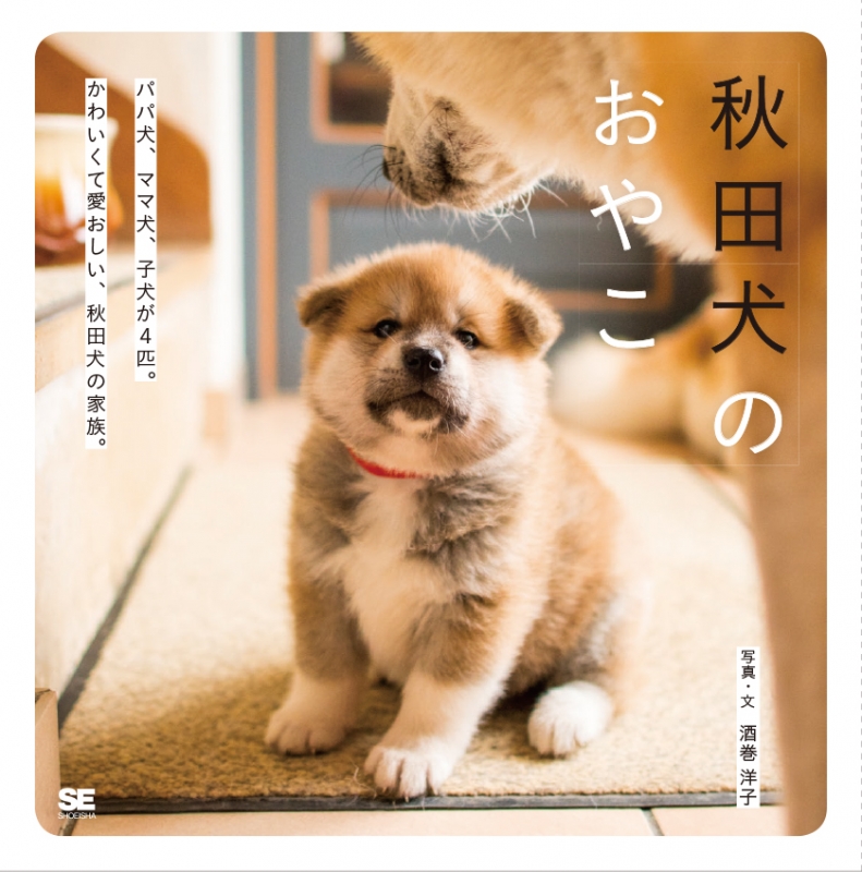 秋田犬のおやこ 酒巻洋子 Hmv Books Online