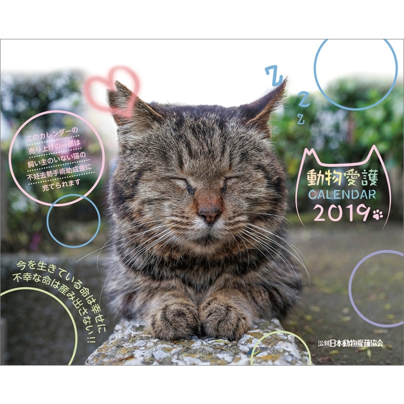 日本動物愛護協会 2019年卓上カレンダー 2019年カレンダー Hmv Books Online Online Shopping Information Site 19cl388 English Site