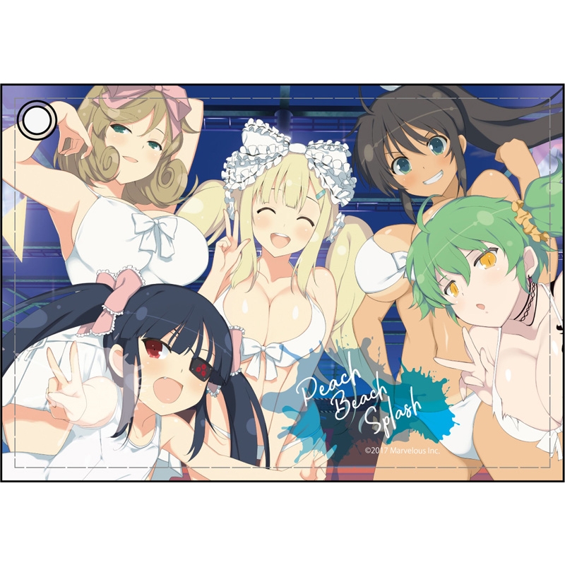 合皮パスケース 焔紅蓮隊 閃乱カグラ Peach Beach Splash : 閃乱カグラ