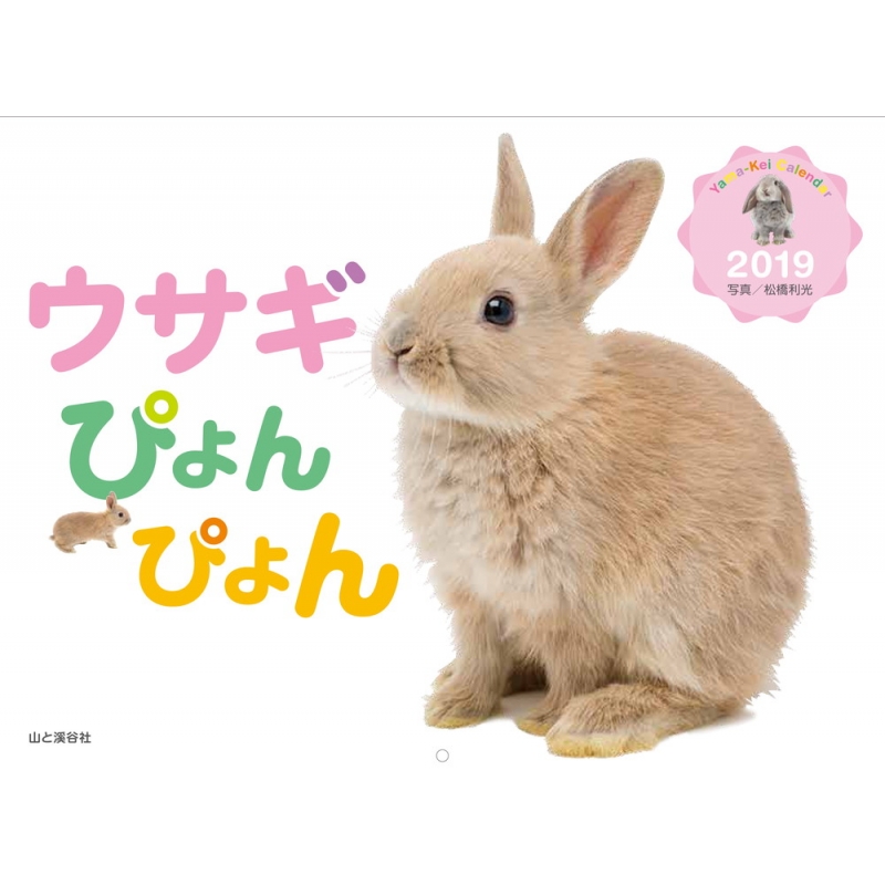 うさぎちゃんはぴょんぴょんしたい (Usagi-chan wa Pyonpyon