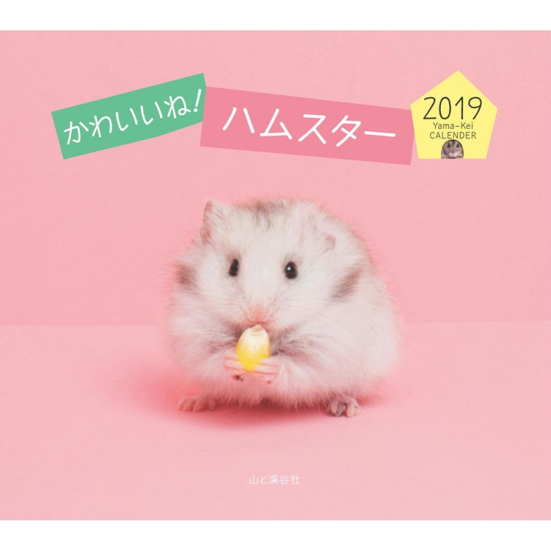かわいいね ハムスターカレンダー 19 Hmv Books Online かわいいね ハムスターカレンダー 19 Hmv Books Online