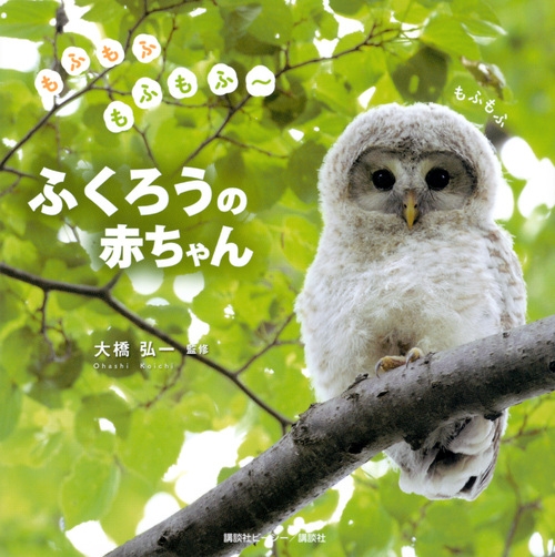 もふもふもふもふー ふくろうの赤ちゃん 大橋弘一 Hmv Books Online