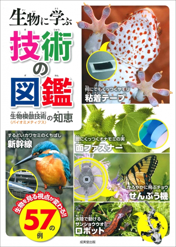 ▲01)【同梱不可】大型鰓脚類の生物学と養殖・保全に関する研究 まとめ売り3冊セット/大圏生物科学/Kluwer Academic Publishers/洋書/A 生物に学ぶ技術の図鑑 生物模倣技術 バイオミメティクスの知恵