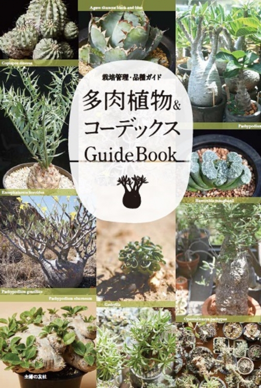 多肉植物 コーデックス Guidebook 主婦の友社 Hmv Books Online