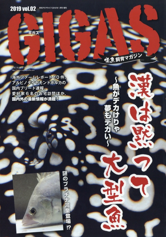 怪魚飼育マガジン GIGAS (ギガス)Vol.2 月刊 AQUA LIFE (アクアライフ