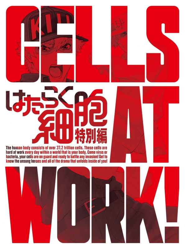 はたらく細胞 特別編 【完全生産限定版】 : はたらく細胞 | HMV&BOOKS online - ANZB-14715/6