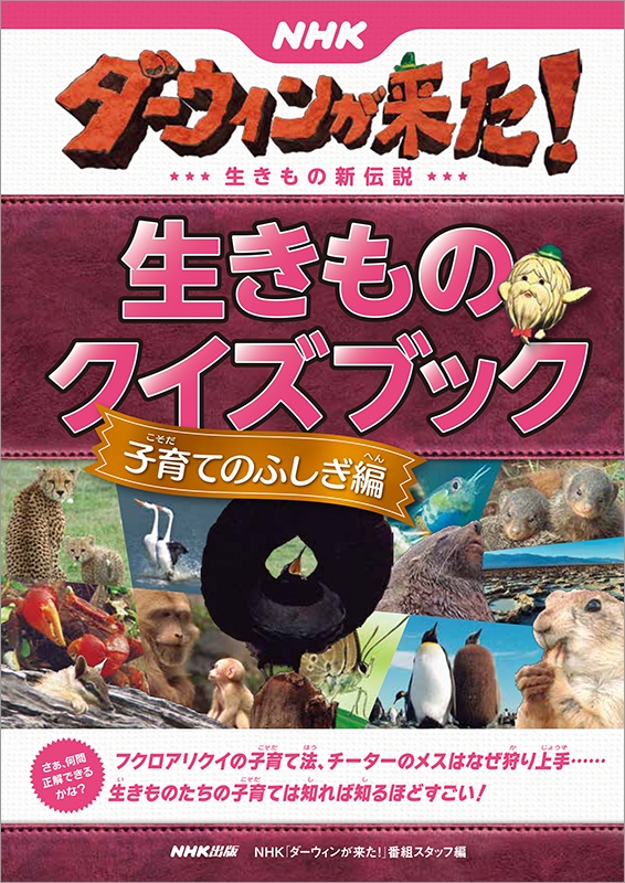 Nhkダーウィンが来た 生きものクイズブック 子育てのふしぎ編 Nhk ダーウィンが来た 番組スタッフ Hmv Books Online