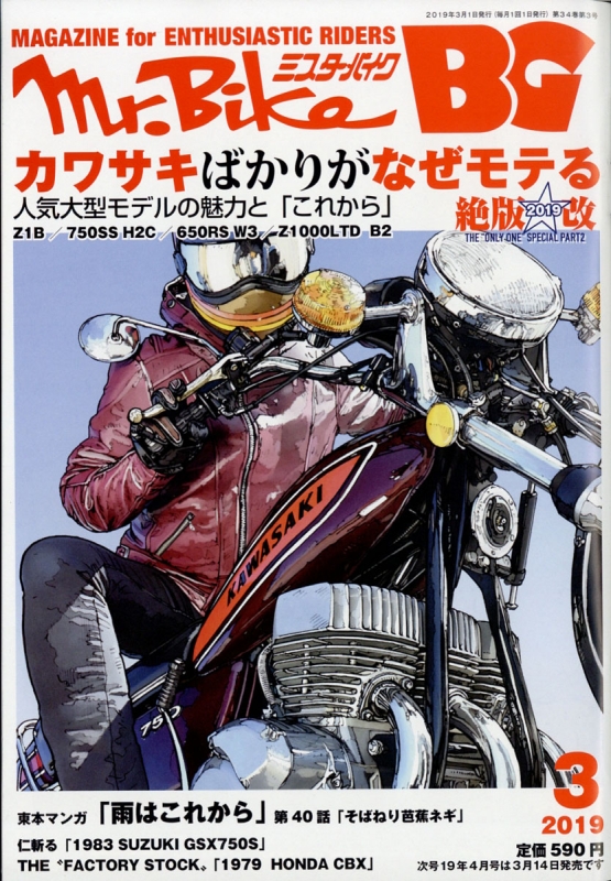 Mr.bike (ミスターバイク)BG (バイヤーズガイド)2019年 3月号 : Mr