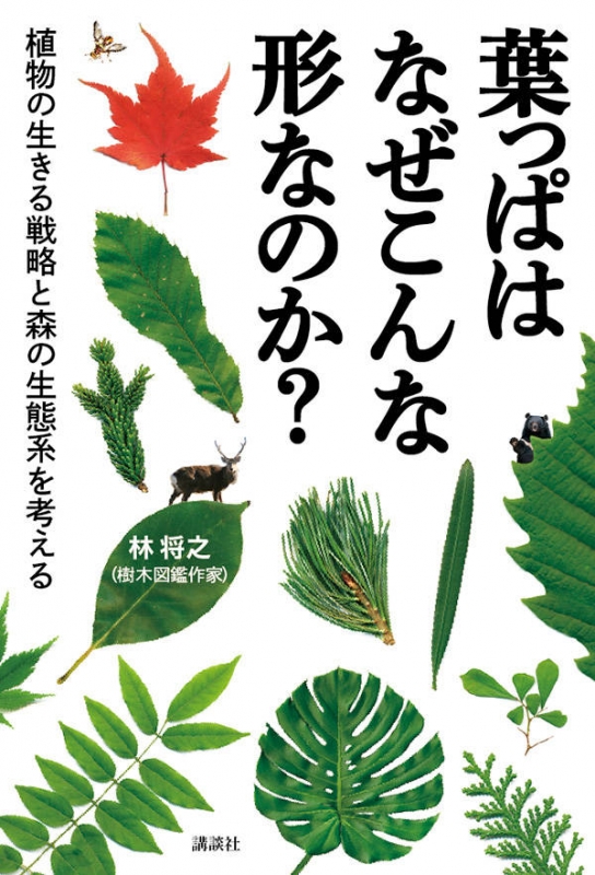 葉っぱはなぜこんな形なのか 植物の生きる戦略と森の生態系を考える 林将之 Hmv Books Online