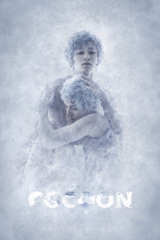 COCOON』月の翳り | HMV&BOOKS online - PCBP-54020