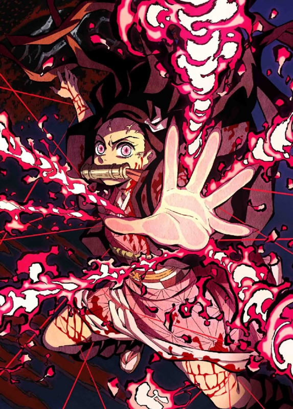 Demon Slayer: Kimetsu no Yaiba - Kyodai no Kizuna to Kisatsutai Hen (Light  Novel)