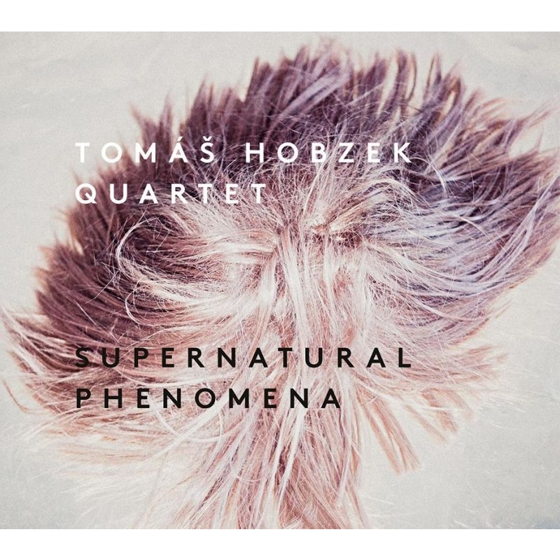 Supernatural Phenomena : Tomas Hobzek | HMV&BOOKS online