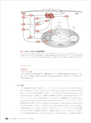 がん生物学イラストレイテッド 第2版 渋谷正史 Hmv Books Online