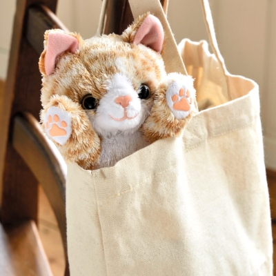 もふもふ 子ねこポーチbook かまってにゃんver ブランド付録つきアイテム Hmv Books Online