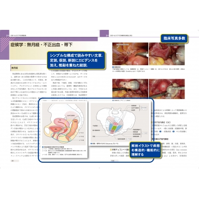 女性ヘルスケア Science and Practice産科婦人科臨床シリーズ : 加藤