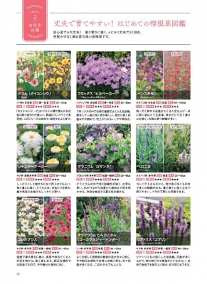 咲かせたい 四季の宿根草で庭づくり 日陰 酷暑 悪条件を解決 荻原範雄 おぎはら植物園 Hmv Books Online 咲かせたい 四季の宿根草で庭づくり 日陰 酷暑 悪条件を解決 荻原範雄 おぎはら植物園 Hmv Books Online
