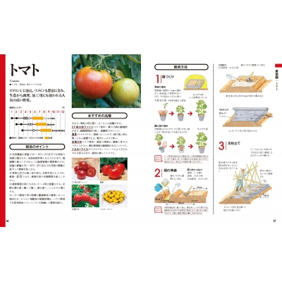 決定版 野菜づくり大百科 : 板木利隆 | HMVu0026BOOKS online - 9784259566500