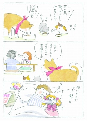 まめねこ10 あずきちゃんとだいずちゃん : ねこまき | HMV&BOOKS online - 9784865812275