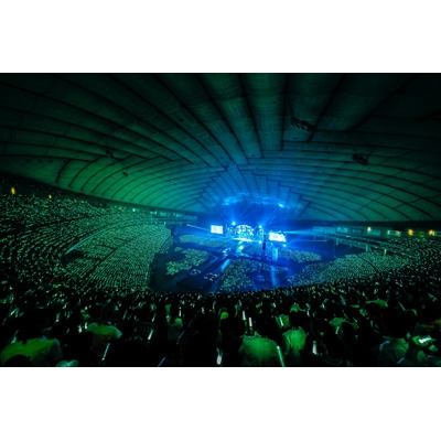 欅坂46 LIVE at 東京ドーム ～ARENA TOUR 2019 FINAL～【通常盤】(DVD 