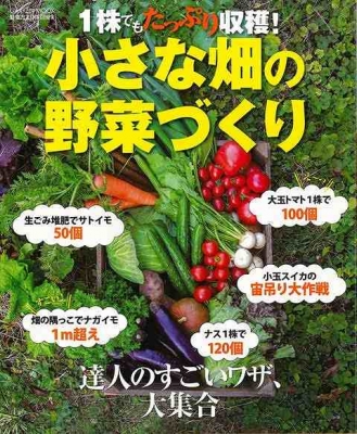 バーゲン本 1株でもたっぷり収穫 小さな畑の野菜づくり 野菜だより編集部 Hmv Books Online バーゲン本 1株でもたっぷり収穫 小さな畑の野菜づくり 野菜だより編集部 Hmv Books Online