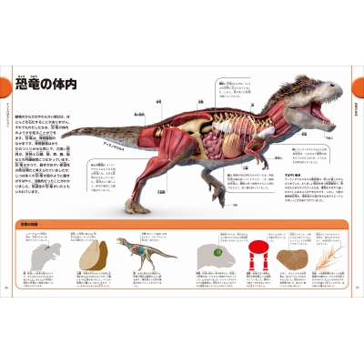 洋書多読　図鑑など7冊　恐竜　鉱物　古生物encyclopedia 人体 恐竜と古代の生き物図鑑 | ジョン・ウッドワード, ダレン