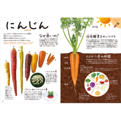 野菜の教え 秋 冬編 たべもの 食育絵本 渡邉幸雄 Hmv Books Online