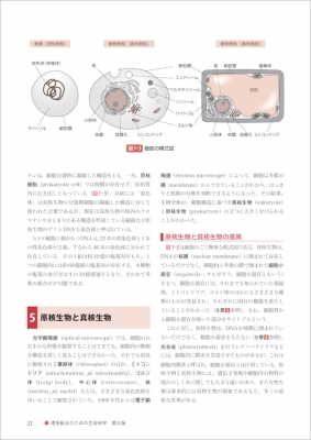 理系総合のための生命科学 第5版 : 東京大学生命科学教科書編集委員会