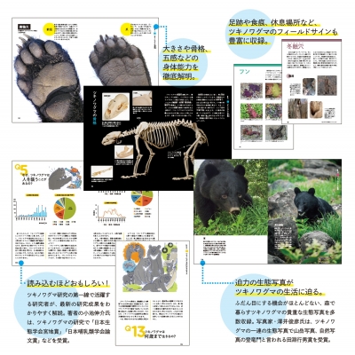 森と生きる。ツキノワグマのすべて : 小池伸介 | HMV&BOOKS