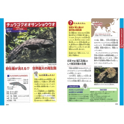 みんなが知りたい!世界の「絶滅危惧」動物がわかる本 まなぶっく