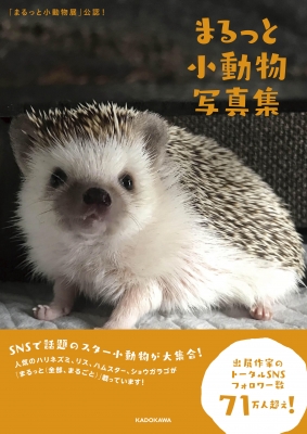 まるっと小動物展 公認 まるっと小動物写真集 Bacon Hmv Books Online