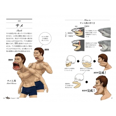 サメの体は歯に包まれている 仮 進化順に見る人体で表す動物図鑑 Sb新書 川崎悟司 Hmv Books Online