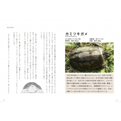 外来生物のきもち : 大島健夫 | HMV&BOOKS online - 9784780423365