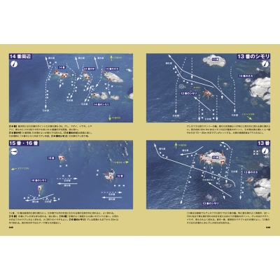 令和版 日振島・宇和島 空撮 磯釣り場ガイド 掲載ポイント130超! : つり人編集部 | HMV&BOOKS online -  9784864473477