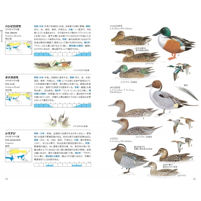 フィールド図鑑 日本の野鳥 : 水谷高英 | HMV&BOOKS online