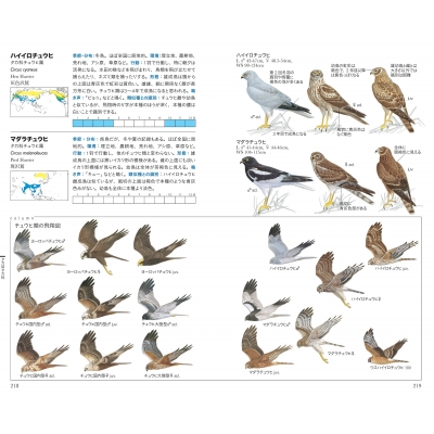 フィールド図鑑 日本の野鳥 : 水谷高英 | HMV&BOOKS online