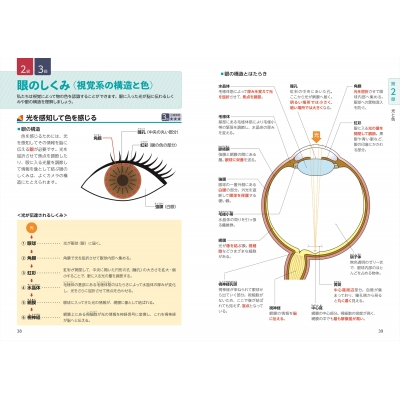 最短合格! 色彩検定2・3級テキスト & 問題集 第2版 : カラボ色大学 ...