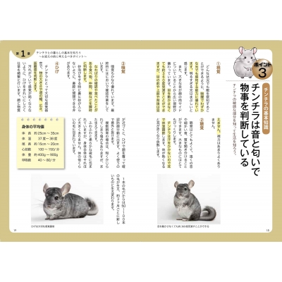 チンチラ飼育セット（中古） チンチラ飼育バイブル 長く元気に暮らす50