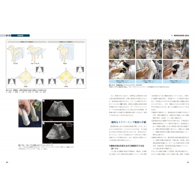 買蔵 中野 【裁断済み】犬と猫のベーシック画像診断学 健康/医学