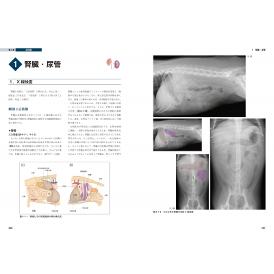 犬と猫のベーシック画像診断学 腹部編 : 獣医放射線学教育研究会