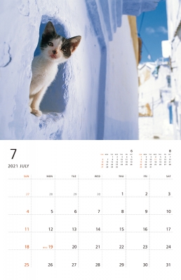 岩合光昭 こねこ Monthly Calendar 2021 岩合光昭 Hmv Books Online 9784909532459