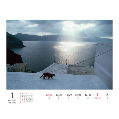 岩合光昭 ねこ Weekly Calendar 21 岩合光昭 Hmv Books Online