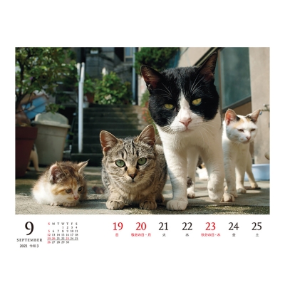 岩合光昭 ねこ Weekly Calendar 21 岩合光昭 Hmv Books Online