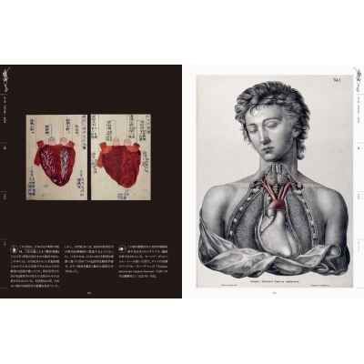 1970年人体解剖図集『Atlas of Human Anatomy』 時代物 1970年人体解剖図集『Atlas of Human Anatomy』 時代物 - メルカリ