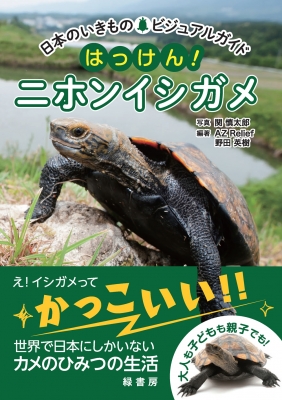 日本のいきものビジュアルガイド はっけん!ニホンイシガメ : 関慎太郎 | HMV&BOOKS online - 9784895315715