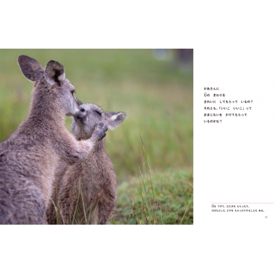 カンガルー 教科書にのってるどうぶつの赤ちゃん : 木坂涼 | HMV&BOOKS 