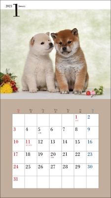 21年 ミニ判カレンダー かわいい柴犬のカレンダー 誠文堂新光社カレンダー 井川俊彦 Hmv Books Online 21年 ミニ判カレンダー かわいい柴犬のカレンダー 誠文堂新光社カレンダー 井川俊彦 Hmv Books Online