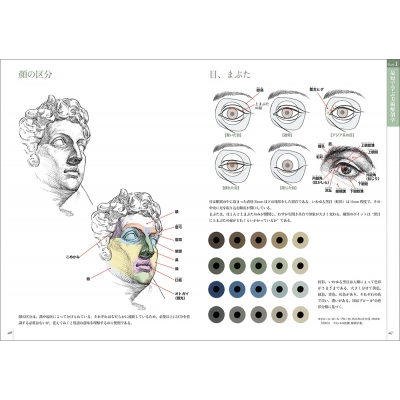 スケッチで学ぶ美術解剖学 : 加藤公太 | HMV&BOOKS online
